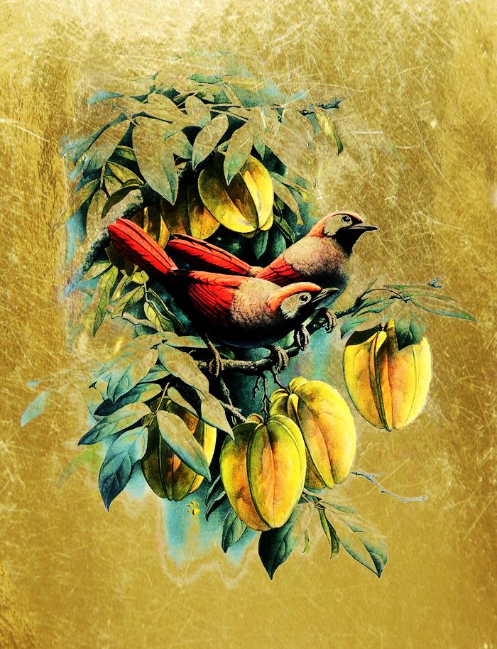 Картина  на сусальном золоте с изображением Птиц на ветке