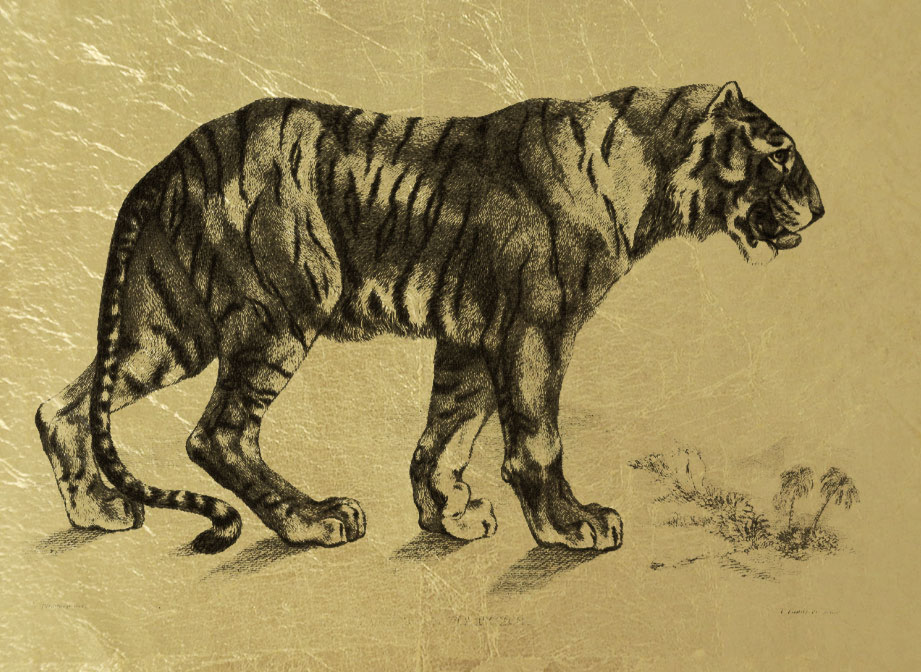 Тигр  - картина из золота с изображением хищных кошек