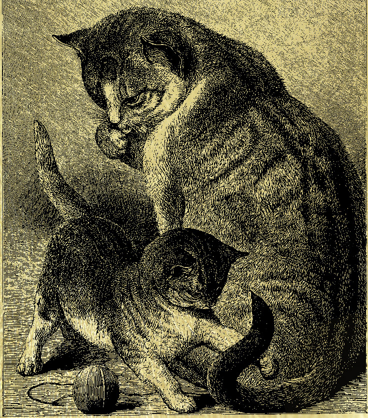 кошка с котёнком  - картина из золота с изображением хищных кошек