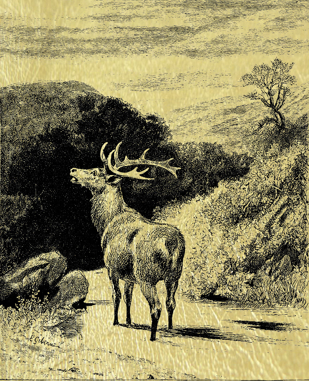 Олень - золотая картина с изображением оленей