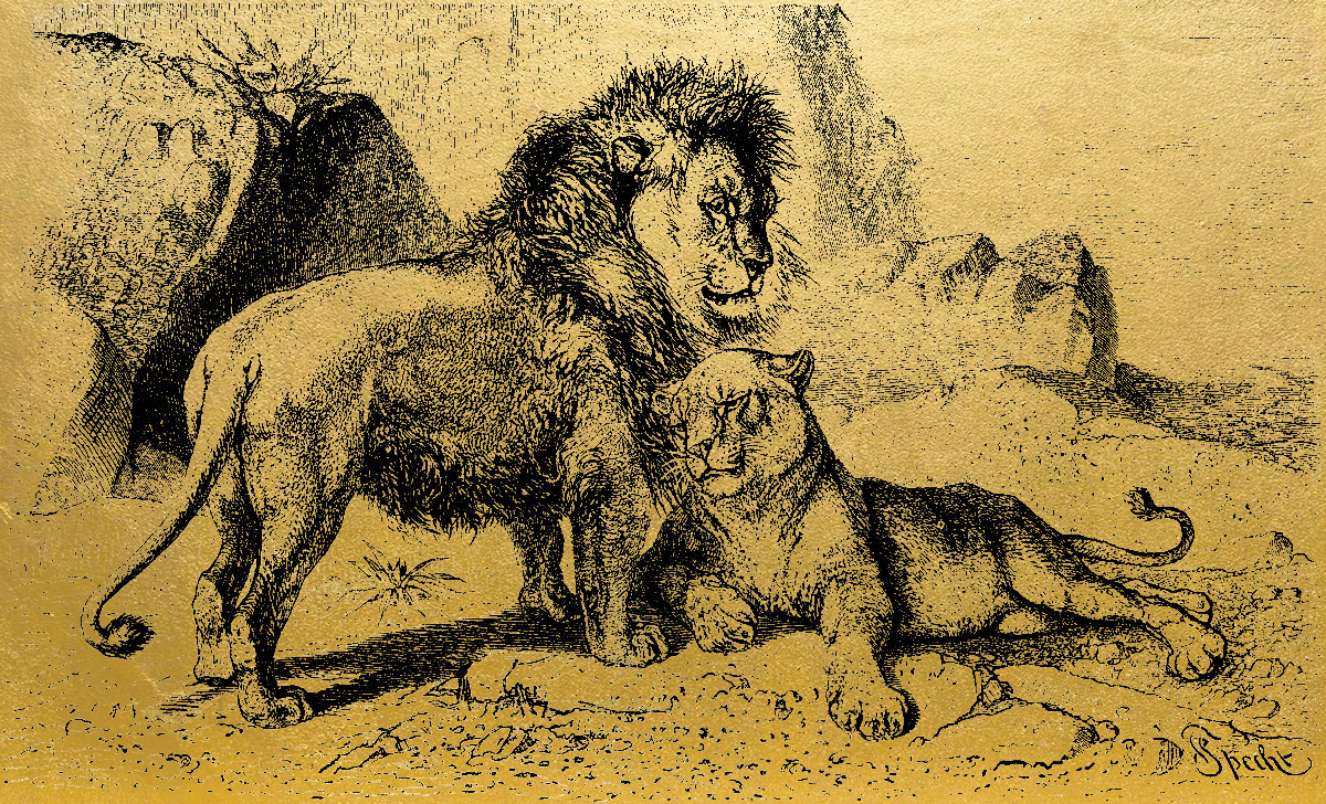 Золотая картина Пара львов