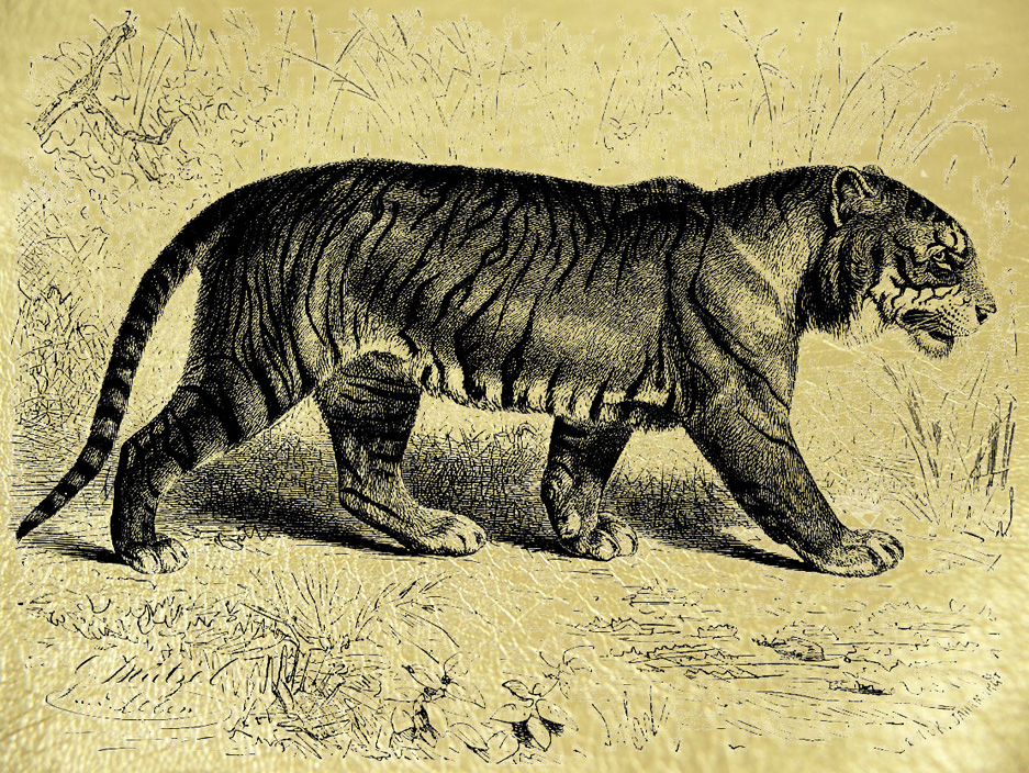 Золотая картина Тигр