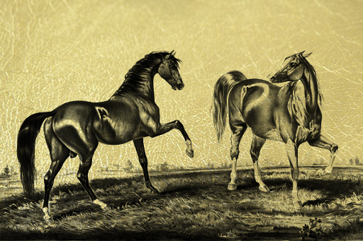 Золотая картина Пара Лошадей