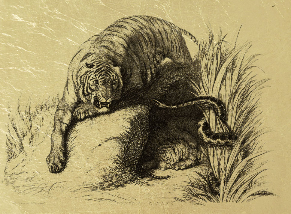 Тигр - картина из золота с изображением хищных кошек